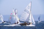 Downwind dash at the 505 worlds held recently at Santa Cruz among the sharks. Photo Erik Simonson